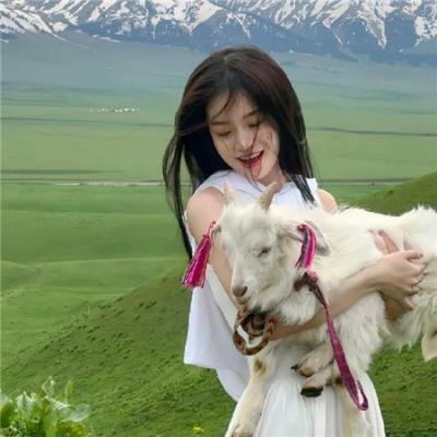 无懈可击