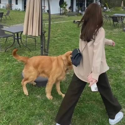 男才女貌